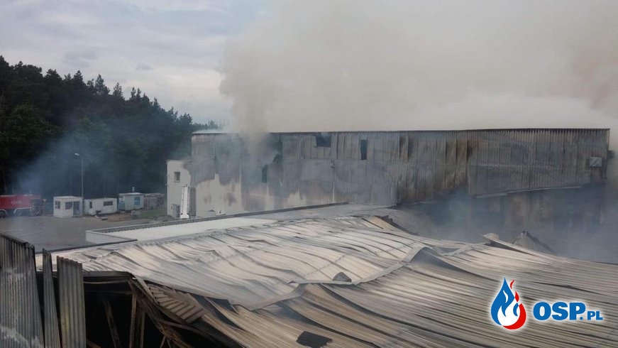 Najnowsze informacje po pożarze hali produkcyjnej na Pomorzu. W akcji ponad 200 strażaków z 3 województw. OSP Ochotnicza Straż Pożarna