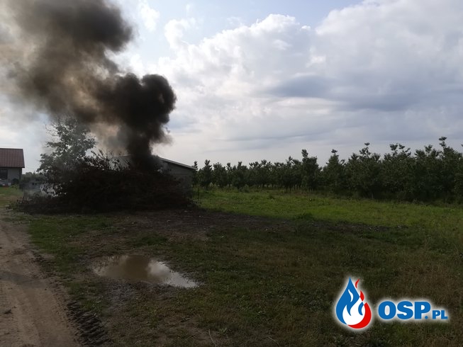 Pożar sterty gałęzi OSP Ochotnicza Straż Pożarna