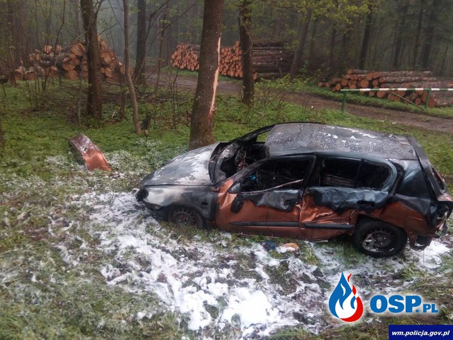 Auto stanęło w ogniu po zderzeniu z drzewem. Świadkowie uratowali kierowcę. OSP Ochotnicza Straż Pożarna