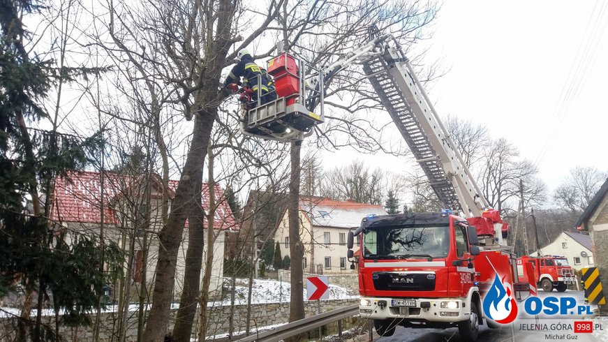 Usunięcie drzewa zwisającego na drogą. OSP Ochotnicza Straż Pożarna