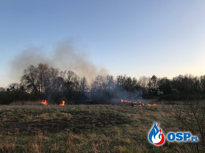 78-79/2021 Pożary trzcinowisk OSP Ochotnicza Straż Pożarna