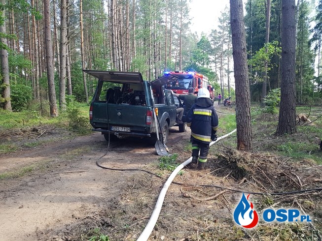 Pożar Lasu Korzybie-Obłęże 05-06-2019 OSP Ochotnicza Straż Pożarna