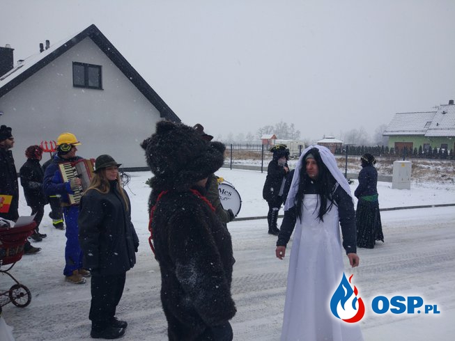 Wodzenie niedźwiedzia OSP Ochotnicza Straż Pożarna
