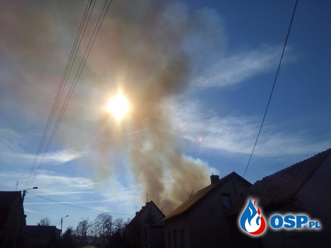28,03,2017 Groźny pożar nieużytków OSP Ochotnicza Straż Pożarna