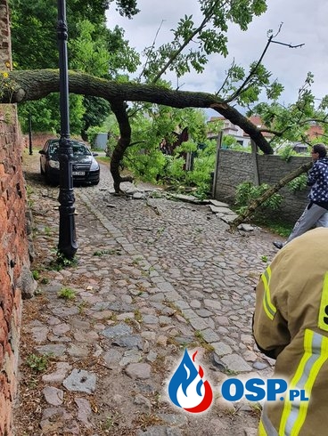 105/2020 Drzewo uszkodziło ogrodzenie OSP Ochotnicza Straż Pożarna