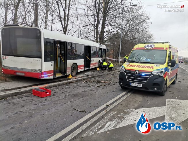 Miejski autobus uderzył w drzewo. 9 osób zostało rannych. OSP Ochotnicza Straż Pożarna