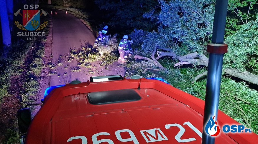 Drzewo runęło na drogę OSP Ochotnicza Straż Pożarna