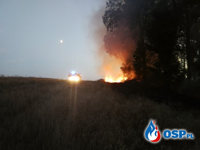 Pożar niedaleko Przyjezierza OSP Ochotnicza Straż Pożarna