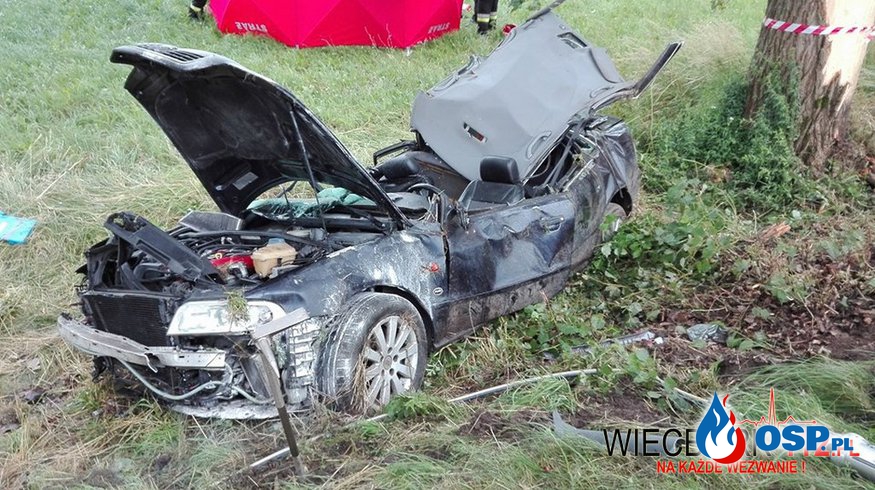 Wypadek na DW 241 koło Sępólna. Audi uderzyło w drzewo. OSP Ochotnicza Straż Pożarna