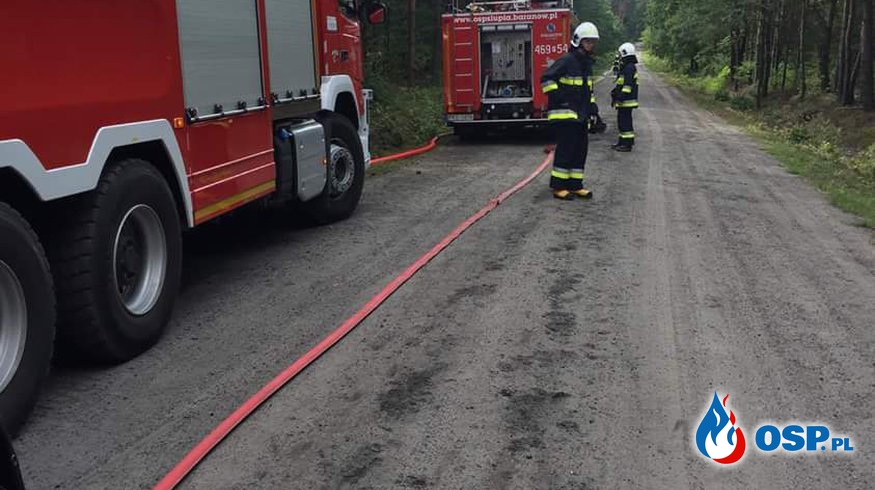 Ćwiczenia na terenach leśnych OSP Ochotnicza Straż Pożarna