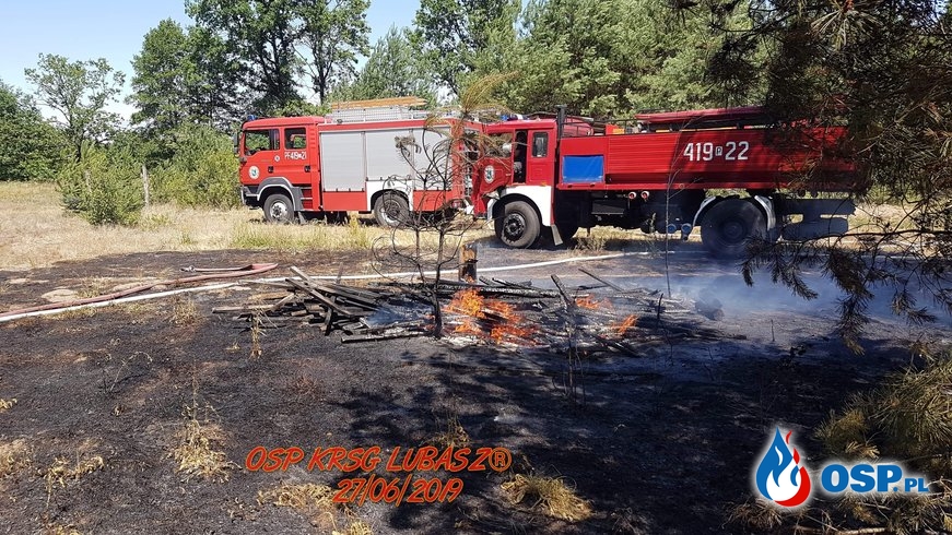 Pożar Lasu przy Leśniczówce w Klempiczu OSP Ochotnicza Straż Pożarna