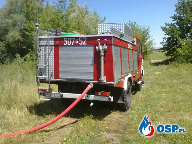 Pożar lasu Puszcza OSP Ochotnicza Straż Pożarna