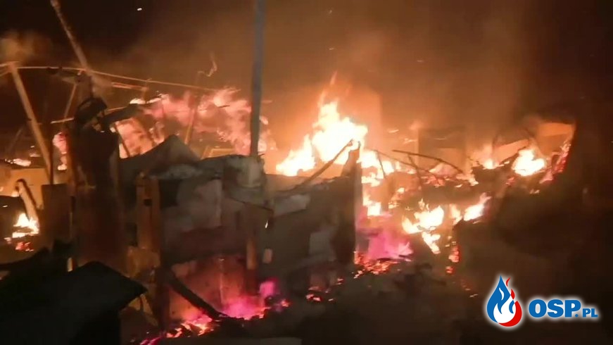 Spłonęły dziesiątki domów i samochodów. Pożary lasów pustoszą Kalifornię. OSP Ochotnicza Straż Pożarna