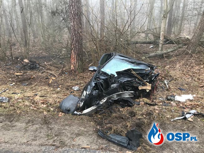 Auto rozpadło się na części po zderzeniu z drzewem. Zginął 38-letni kierowca. OSP Ochotnicza Straż Pożarna