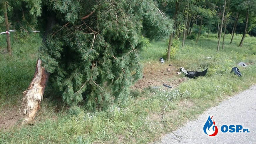 Wypadek w miejscowości Joanka OSP Ochotnicza Straż Pożarna