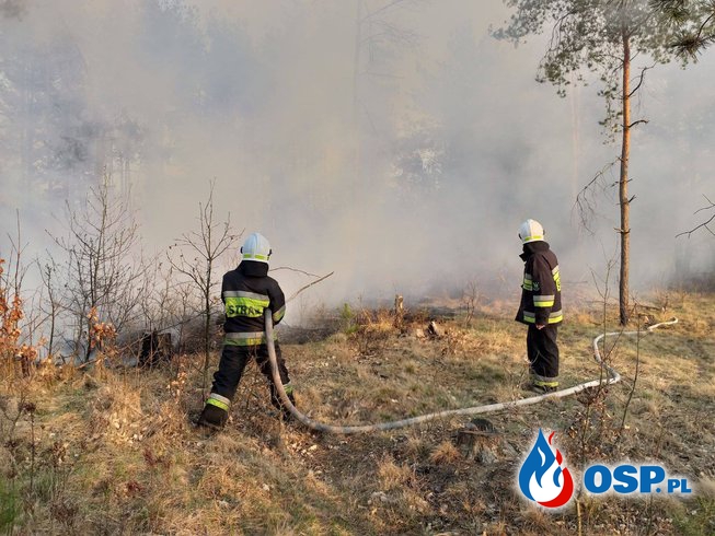 Akcja "PoznajmySIE" - Sylwetki strażaków ochotników - Piotr Dobrowolski OSP Ochotnicza Straż Pożarna