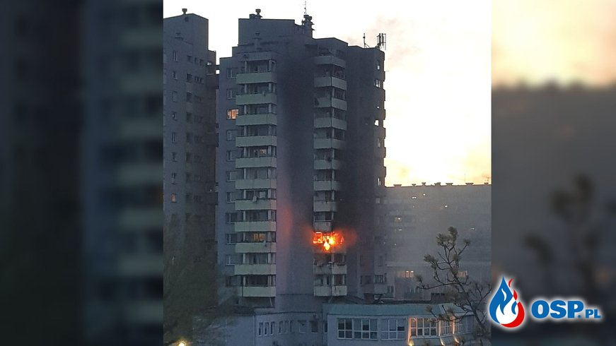 Pożar w wieżowcu w Opolu. W akcji 5 zastępów strażaków. OSP Ochotnicza Straż Pożarna