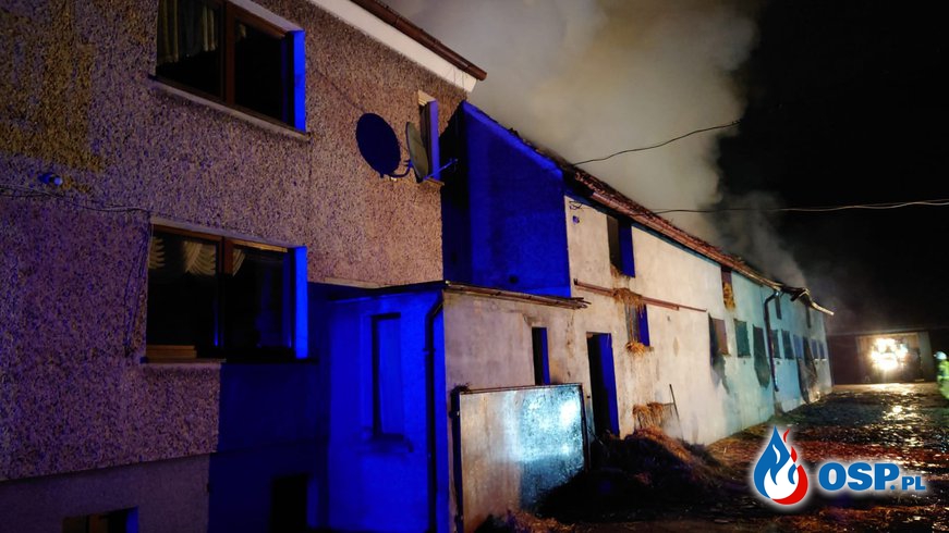 Nocny pożar gospodarstwa na Opolszczyźnie. Jedna osoba trafiła do szpitala. OSP Ochotnicza Straż Pożarna