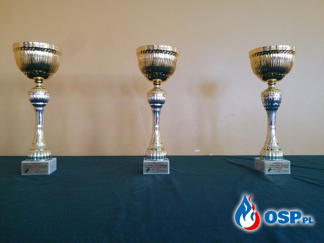 Pierwszy otwarty turniej w tenisa stołowego o Puchar Prezesa OSP Chylin OSP Ochotnicza Straż Pożarna