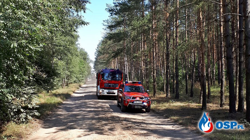 Pożar lasu w Ostrowie OSP Ochotnicza Straż Pożarna