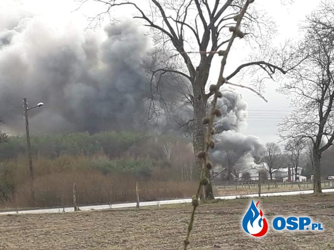 Pożar budynku inwentarskiego w Darnowie. Ogień gasiło 12 zastępów strażaków. OSP Ochotnicza Straż Pożarna