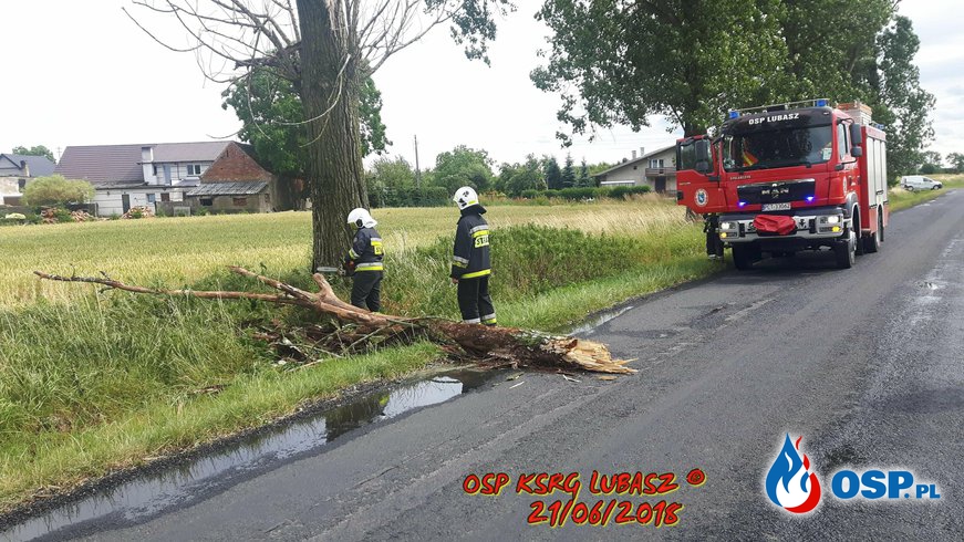 Konar na drodze Sławno - Prusinowo OSP Ochotnicza Straż Pożarna