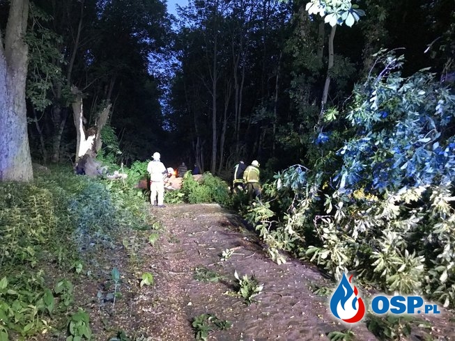 Zablokowana droga w miejscowości Raduń OSP Ochotnicza Straż Pożarna