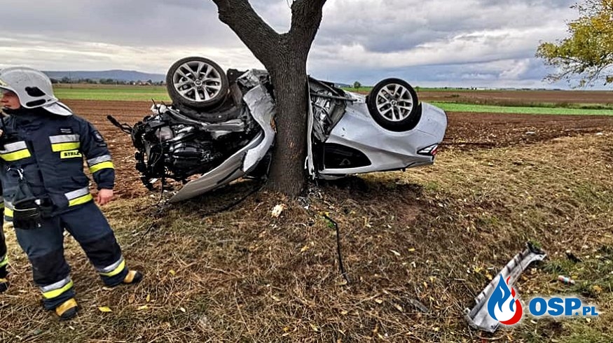 Kierowca cudem uniknął śmierci! Jego auto zawinęło się na drzewie. OSP Ochotnicza Straż Pożarna