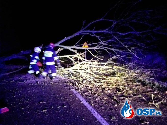 2019-01-02 Godz.4:50- powalone drzewo OSP Ochotnicza Straż Pożarna