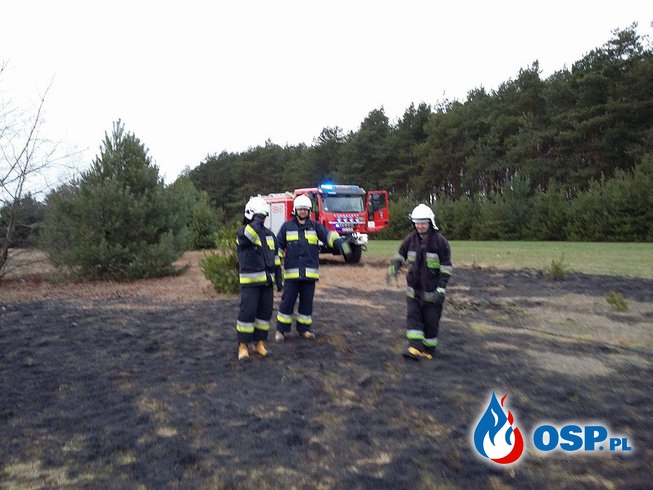Pożar poszycia leśnego i trawy w miejscowości Bibianów OSP Ochotnicza Straż Pożarna