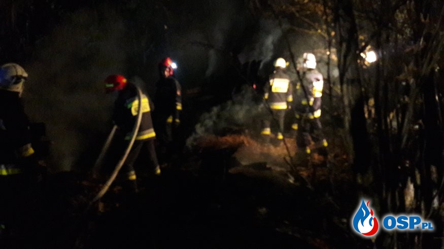 Pożar pustostanu w Siedliskach OSP Ochotnicza Straż Pożarna