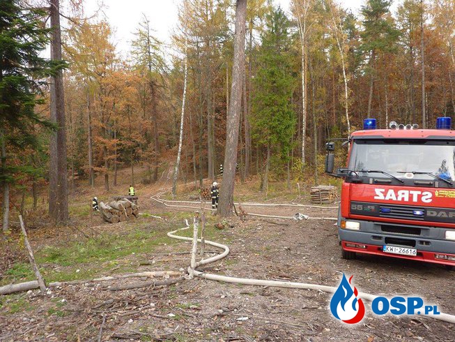Gminne ćwiczenia w lesie ( Grajów ) OSP Ochotnicza Straż Pożarna