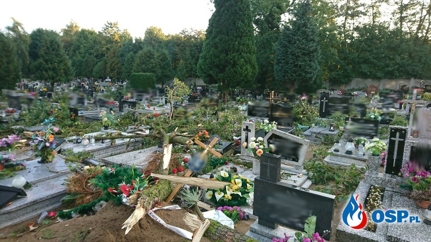 Powalony konar na cmentarz OSP Ochotnicza Straż Pożarna