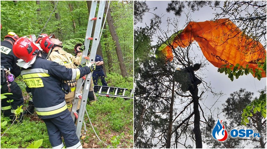 Paralotniarz utknął na drzewie. Na pomoc ruszyli strażacy. OSP Ochotnicza Straż Pożarna