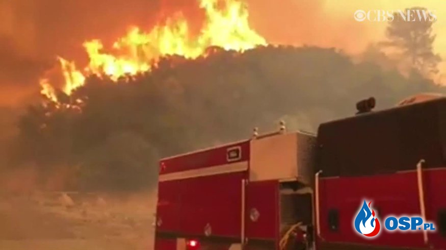 Amerykańscy strażacy pokazali nagranie ze środka wielkiego pożaru lasów OSP Ochotnicza Straż Pożarna