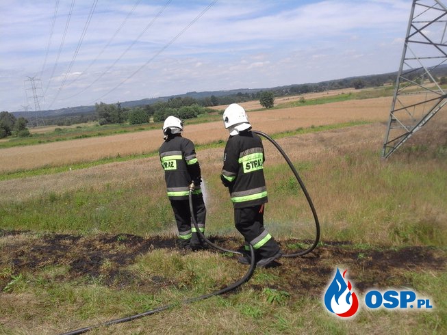 Pożar traw - ul. Sikorskiego w Rozkochowie OSP Ochotnicza Straż Pożarna