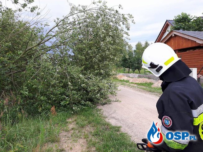 Pochylone drzewo na os.Gorajskim OSP Ochotnicza Straż Pożarna