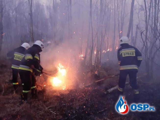 Płonie Biebrzański Park Narodowy. Ruszyła zbiórka na doposażenie OSP. OSP Ochotnicza Straż Pożarna