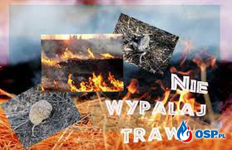 Wypalanie traw zabija ! OSP Ochotnicza Straż Pożarna