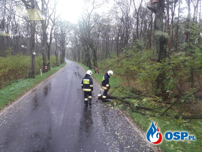 Orkan Grzegorz od samego rana OSP Ochotnicza Straż Pożarna