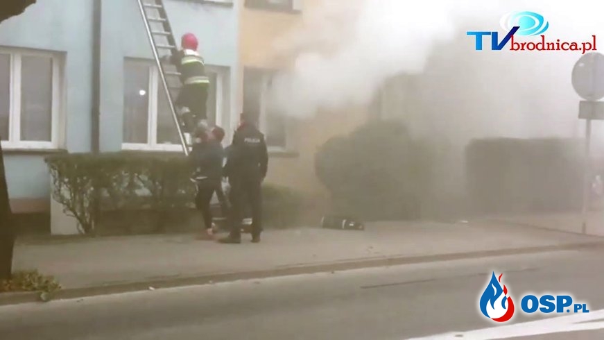 Strażacy ewakuowali przez okno dzieci, kobietę i... kanarka. Dramatyczna akcja w Brodnicy. OSP Ochotnicza Straż Pożarna