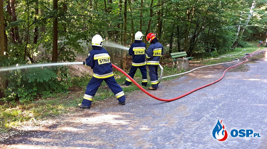 Ćwiczenia w Słupcy z przetłaczania wody na znaczne odległości OSP Ochotnicza Straż Pożarna