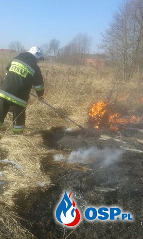 Sezon na wypalanie traw A.D. 2017 - otwarty. OSP Ochotnicza Straż Pożarna