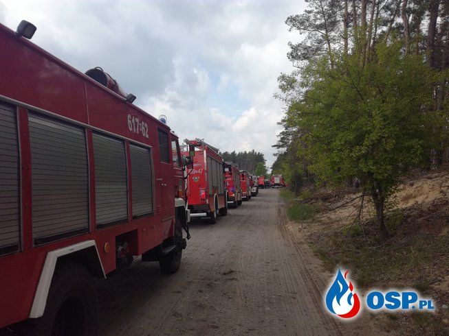 Manewry - las w Bogusławkach OSP Ochotnicza Straż Pożarna