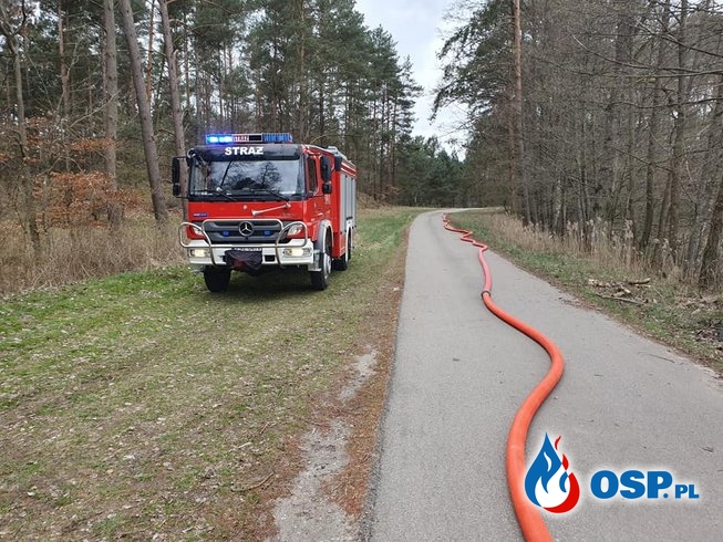 Manewry Las 2019 Borne Sulinowo OSP Ochotnicza Straż Pożarna