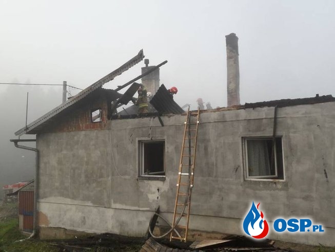 Pożar domu w Złockiem. To prawdopodobnie podpalenie. OSP Ochotnicza Straż Pożarna
