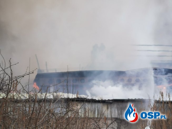 Pożar w fabryce mebli w Świętokrzyskiem. W akcji 15 zastępów strażaków. OSP Ochotnicza Straż Pożarna