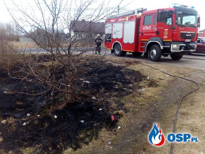 Pożar suchej trawy w Dobrowie OSP Ochotnicza Straż Pożarna