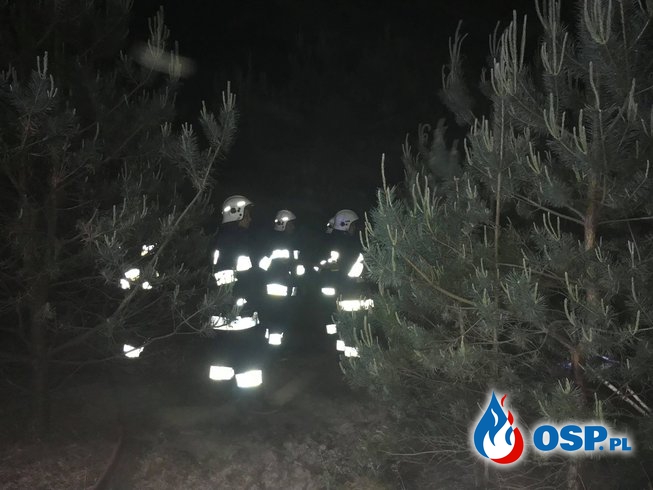 Dwa pożary w jednym lesie - Juliszewo OSP Ochotnicza Straż Pożarna