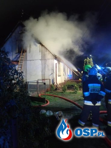 Nocny pożar domu w Opolu. Nie żyje starsza kobieta. OSP Ochotnicza Straż Pożarna